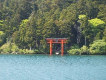 箱根神社　鳥居