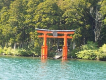 箱根神社　鳥居