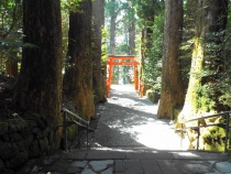 箱根神社