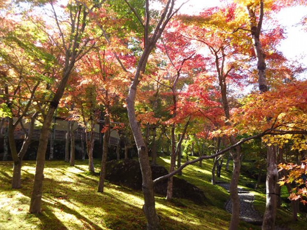 秋の箱根美術館