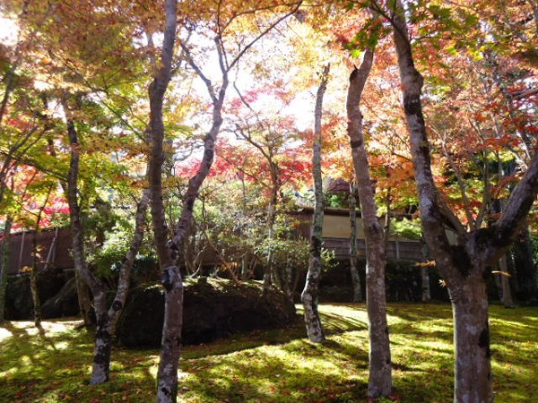 秋の箱根美術館