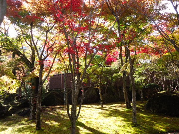 秋の箱根美術館