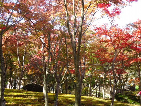 秋の箱根美術館