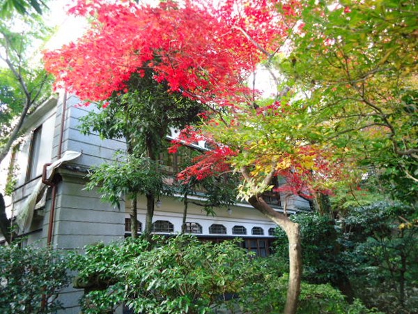紅葉
