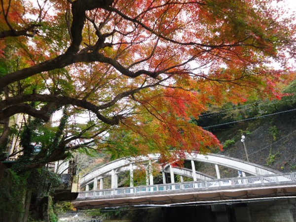 紅葉